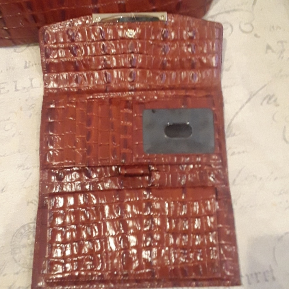 Brahmin - Picture 6 of 6